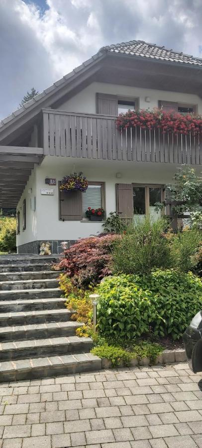 Apartma - Pocitniska Hisa Lodi Bohinj Esterno foto
