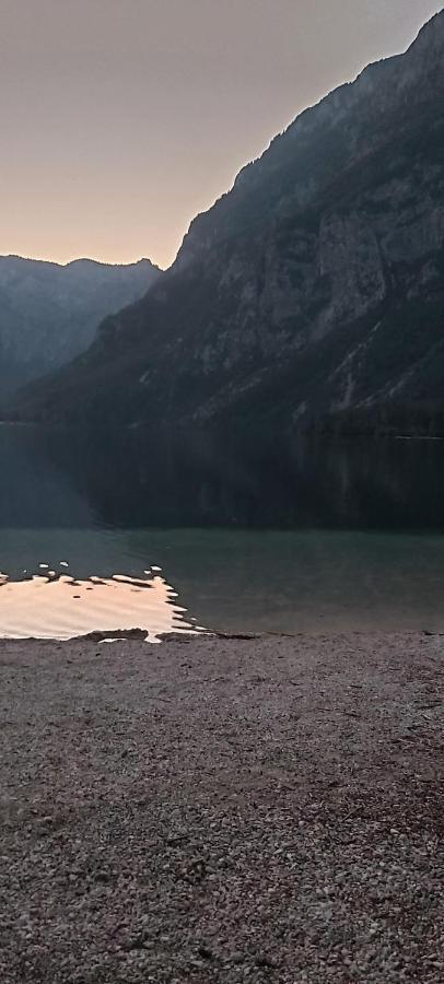 Apartma - Pocitniska Hisa Lodi Bohinj Esterno foto