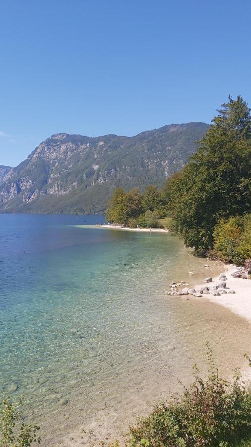 Apartma - Pocitniska Hisa Lodi Bohinj Esterno foto